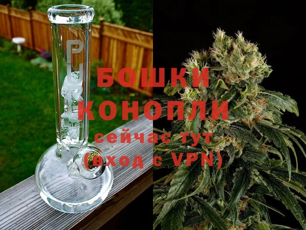 гидропоника Балахна