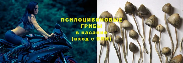 гидропоника Балахна