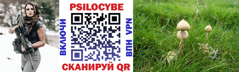 Галлюциногенные грибы ЛСД  Ливны 